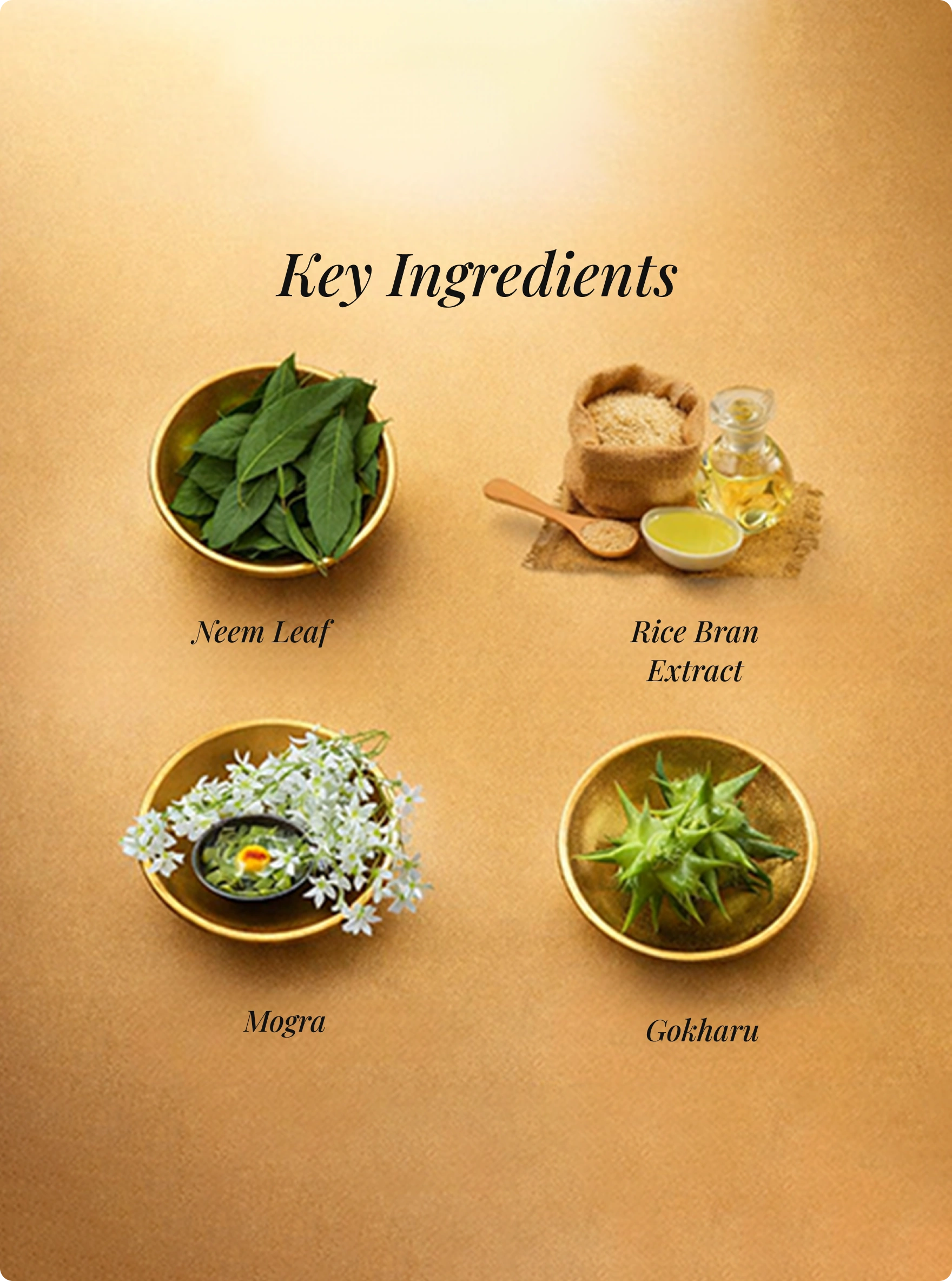 Frame 1597885725 (1)